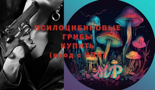 молекула духа Каменногорск
