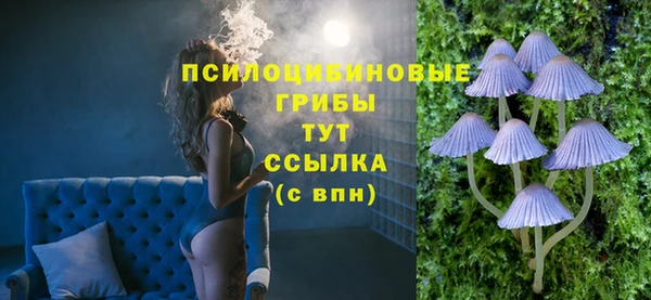 амф Кедровый