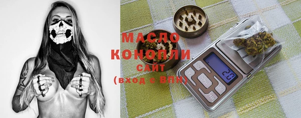 мет Каменка