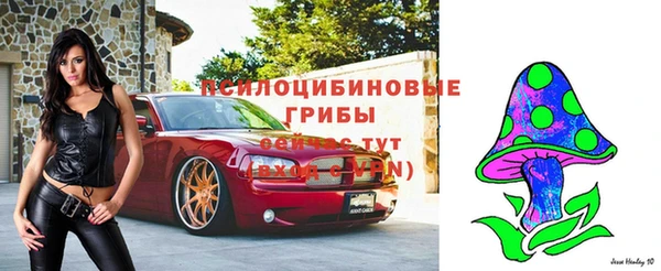 крисы Ханты-Мансийск