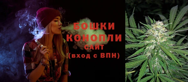 молекула духа Каменногорск