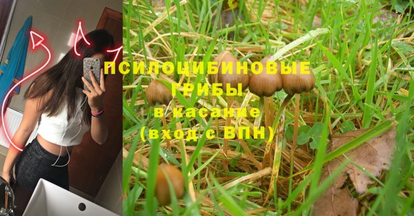 мет Каменка