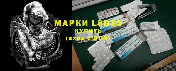молекула духа Каменногорск